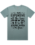 Expensive All The Time Short Sleeve T-Shirt