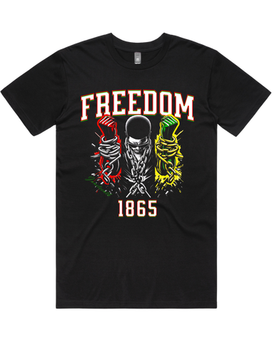 Freedom Juneteenth Men's And Women T-Shirt Or Crop Top