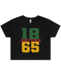 Juneteenth 1865 Men's And Women's T-Shirt Or Crop Top T-Shirt